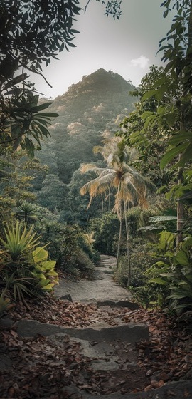 sendero montaña (1)